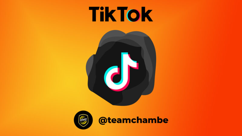 La Team Chambé sur TikTok