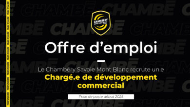Offre d'emploi : Chargé.e de développement commercial