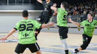 N1 I Série de 4 pour les Moufflès